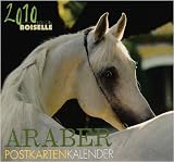 Produkt-Bild: Araber 2010 Postkartenkalender: Mit Aufsteller und Weihnachtskarte