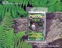 Survivor Industries' Cocoon Emergency Mylar Survival Sleeping Bags - Pack of 4 Bags. CC-01