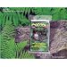 Survivor Industries' Cocoon Emergency Mylar Survival Sleeping Bags - Pack of 4 Bags. CC-01