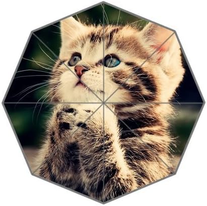 Fashion Umberlla Funny Cat Custom Foldable Umbrella Women Umbrella Men Umbrella Children Umbrella Rain Umbrella Wind Resistant Windproof Floding Travel Umbrella