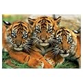 Tiger Cubs 150-pc. Puzzle Express
