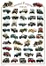 General Purpose Vehicles Poster