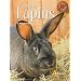 L'�levage des lapins