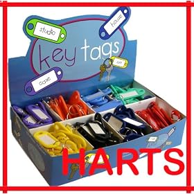200 assorted colour Keyring Tags