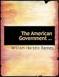 The American government
