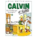 Calvin et Hobbes, tome 9 : On n'arr�te pas le progr�s !