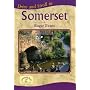 Drive and Stroll in Somerset (Drive & Stroll)