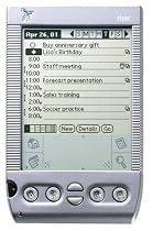 Handspring Visor Platinum (Silver)