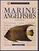 Marine Angelfishes