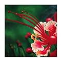 Arlene 1020 Original Hand-Painted Oil on Canvas by Carl Sebastian- 32x32"