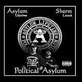 Political Asylum