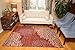 Feraghan/New City Contemporary Modern Floral Flowers Wool Area Rug, 2' x 3', Cinnamon/Brown/Beige