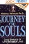Journey of Souls: Case Studies of Life Between Lives