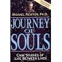 Journey of Souls: Case Studies of Life Between Liv&hellip by Michael Newton