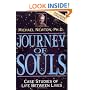Journey of Souls: Case Studies of Life Between Lives