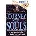 Journey of Souls: Case Studies of Life Between Lives