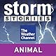 Storm Stories: When Chuckie Met Ivan