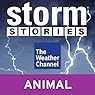 Storm Stories: Weather Dog