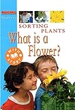 Sorting plants : what is a flower?