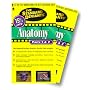 The Standard Deviants - Anatomy, Parts 1 & 2 [VHS]