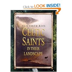 Celtic Saints in Their Landscape