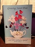 Growing sweet peas and other Lathyrus species