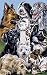 Dog Montage Decorative Switchplate Cover