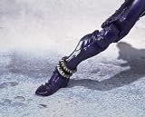S.I.C. SIC Ultimate Soul Vol.1 Masked Rider Hibiki