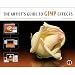 The Artist's Guide to Gimp Effects: Creative Techniques for Photographers, Artists, and Designers: Creative Techniques for Photographers, Artists and Designers