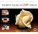 The Artist's Guide to GIMP Effects: Creative Techniques for Photographers, Artists, and Designers