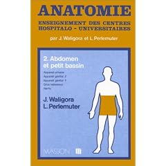 Abdomen et petit bassin