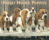 Just Basset Hound Puppies 2009 Calendar (Just)