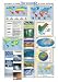 Weather, Art Poster
