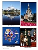  : Der Park-Planer f&uuml;r das Walt Disney World Resort bei Orlando, Florida - 2. Edition: Der Insider-Reisef&uuml;hrer durch die weltgr&ouml;&szlig;te Freizeitparkanlage