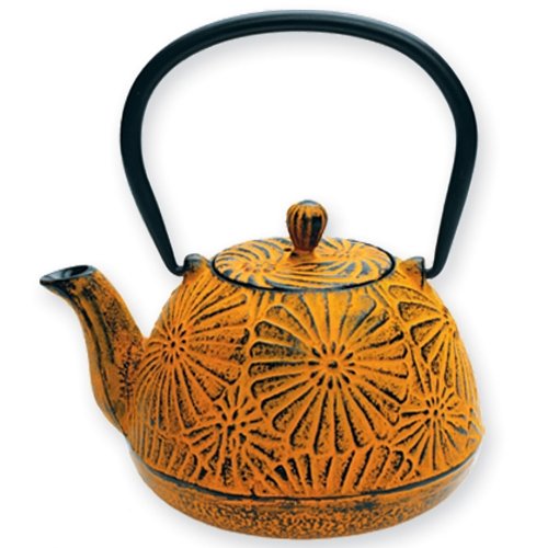 Japanese Tetsubin Vintage Floral Tangerine Cast Iron Teapot Japanese Tetsubin Vintage Floral Tangerine Cast Iron Teapot