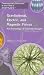 Book Gravitational, Electric And Magnetic Forces: An Anthology Of Current Thought (Contemporary Discourse in the Field of Physics)
