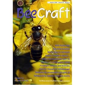 Bee Craft by 