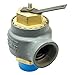 Safety Relief Valve, 2in.x2in., 15 psi