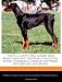 That's a Good Dog: Guard Dog Breeds Around the World (Bulldog, Boxer, Doberman, German Shepherd, Rottweiler, and More)