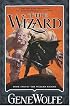 The Wizard: Book Two of The Wizard Knight