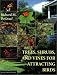 Trees, Shrubs, and Vines for Attracting Birds
