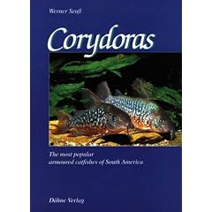 Corydoras - The Most Popular Armored Catfishes of South America