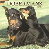Dobermans 2006 Calendar