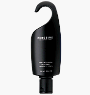 Avon Perceive for Men Hair and Body Wash Perceive for Men