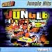 Jungle Hits Volume 3