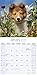 Collie Calendar - Breed Specific Collie Calendar - 2016 Wall calendars - Dog Calendars - Monthly Wall Calendar by Avonside