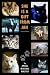 Book She is a Gift From Jah: Essays of a Pet Owner