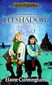 Elfshadow (Forgotten Realms: Songs and Swords, Book 1)