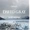 David Gray Studio Ranked