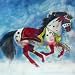 Horse Of A Different Color Cherokee Warrior Canvas Wall Art
